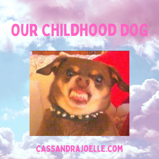 Our Childhood Dog